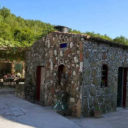 Radonjic Budva