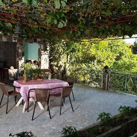 Radonjic בודווה