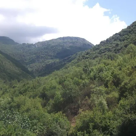 Radonjic בודווה